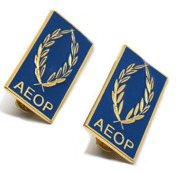 mostrine in metallo aeop - immagine 2